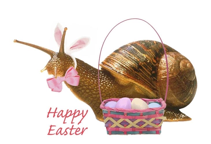 50 Beautiful Easter Wallpapers 47 Easter-Snail