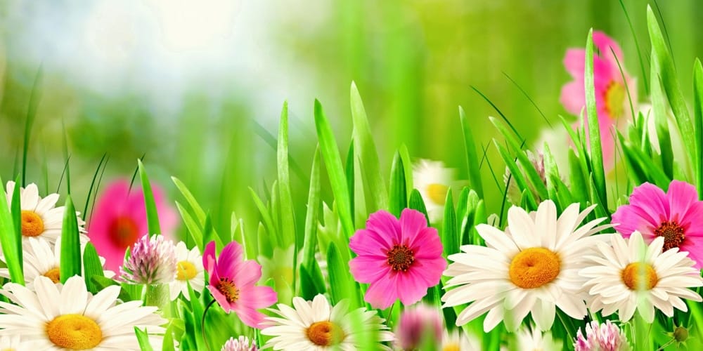 50 Beautiful Easter Wallpapers 65 Easter Sunday