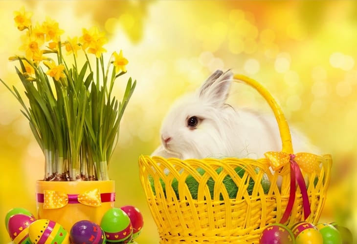 50 Beautiful Easter Wallpapers 68 Easter Wallpaper