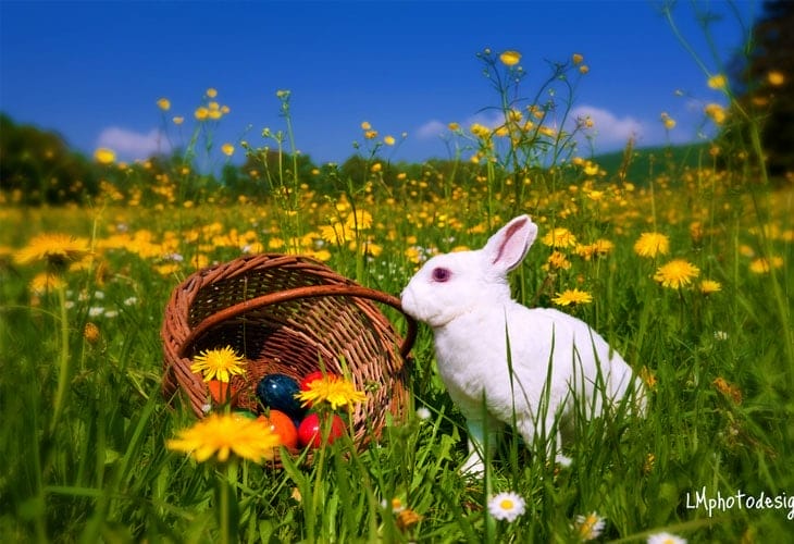 50 Beautiful Easter Wallpapers 10 Happy-Easter-Wallpaper
