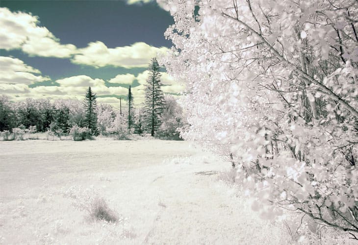 Hd-Winter-Wallpaper Hd-Winter-Wallpaper