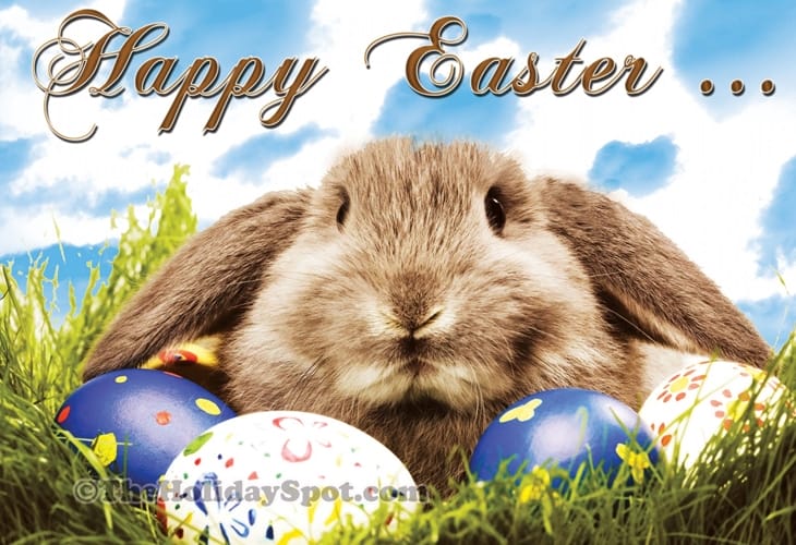 50 Beautiful Easter Wallpapers 14 Hello Bunny