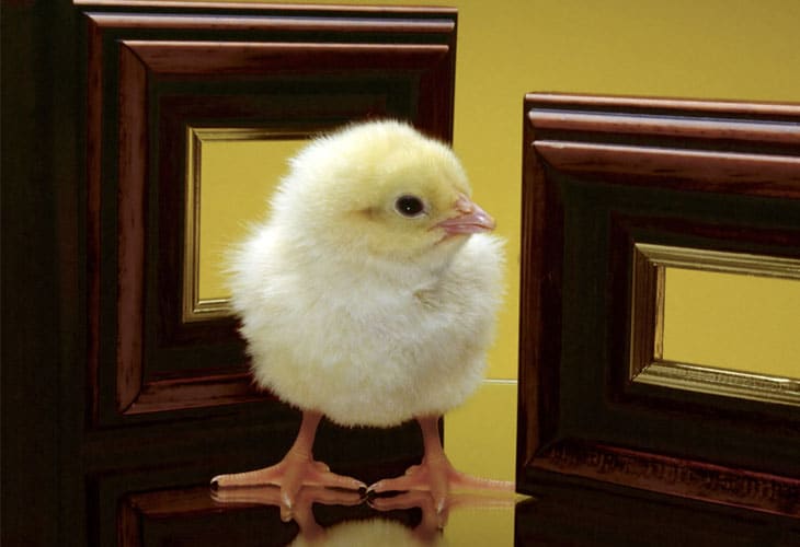 50 Beautiful Easter Wallpapers 70 Easter Wallpapers