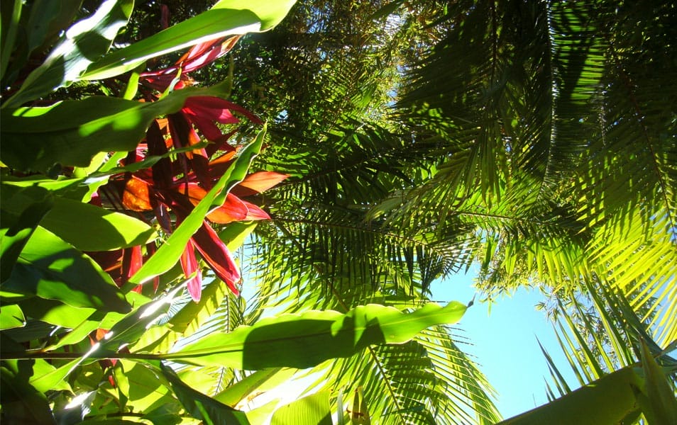 30 Beautiful Examples of Nature Photography Inspiration 15 Nature Photography