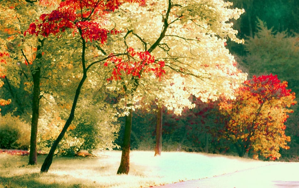 30 Beautiful Examples of Nature Photography Inspiration 18 Nature Photography