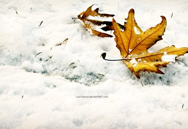 40 Beautiful Free Winter Wallpaper Designs For Inspiration 8 Winter Fall Wallpaper