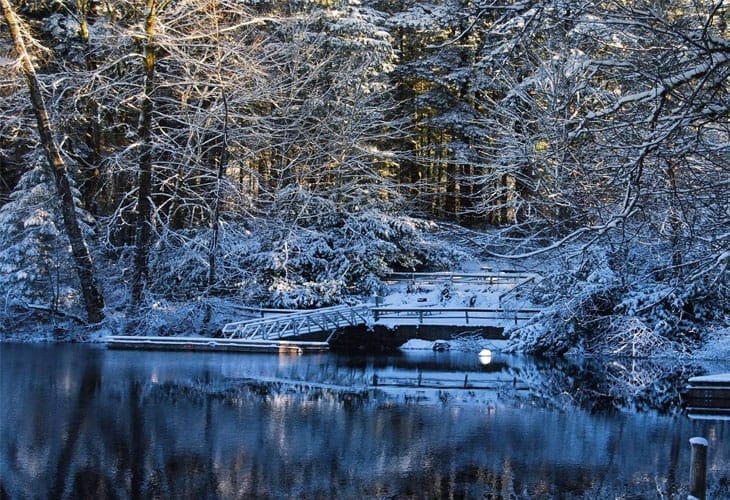 Winter-Scenery-Wallpaper Winter-Scenery-Wallpaper