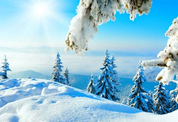 Winter-Sun Winter-Sun