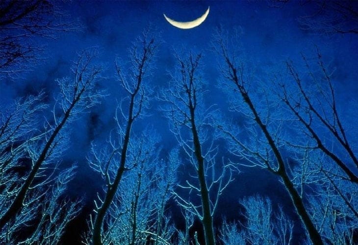 Winter-Wallpaper Winter-Wallpaper