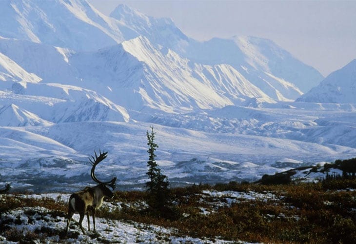 Winter-Wallpaper Winter-Wallpaper