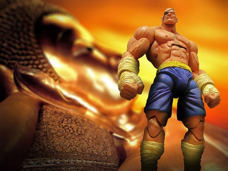 SotA_Street Fighter_Sagat