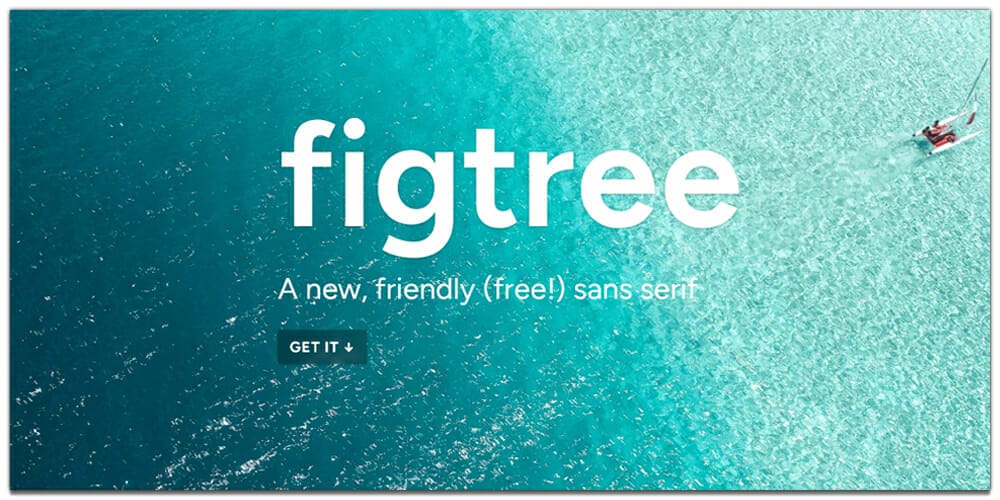 20 Best Free Fonts for Web/Graphic Designers 6 figtree