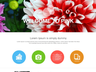 Multipurpose Website Template PSD