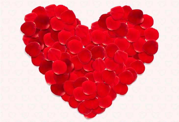 Rose-Petals Rose-Petals