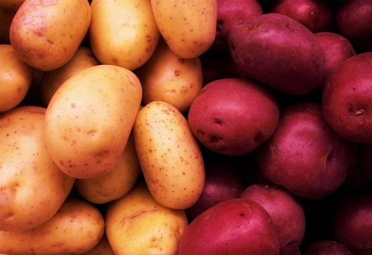 Segregate The Web Page Variables Segregate The Web Page Variables