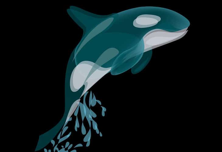 fluorescent-transparency fluorescent-transparency