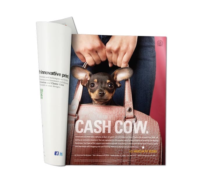 All American Pet Resorts Print Ads All American Pet Resorts Print Ads