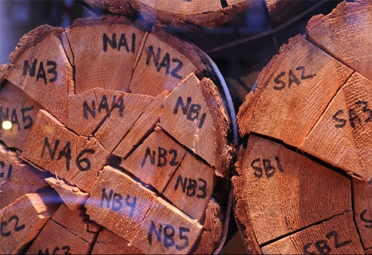 Responsive Web Designing: The Better Solution Responsive Web Designing: The Better Solution