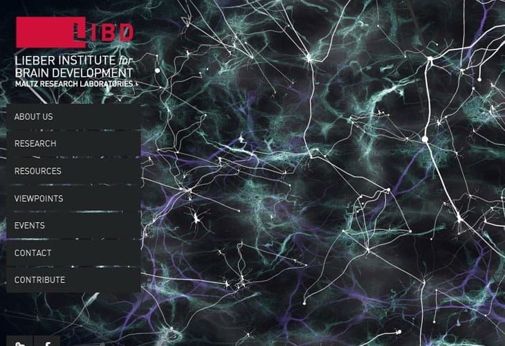 30 Best Examples of Infinite Scrolling Websites For Inspiration 3 The-Lieber-Institute-for-Brain-Development