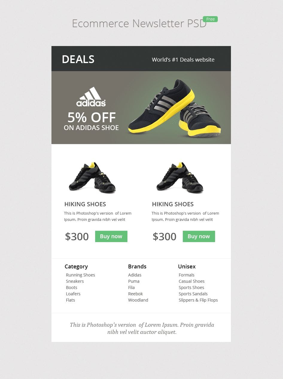 E-commerce Newsletter PSD - cssauthor.com E-commerce Newsletter PSD - cssauthor.com