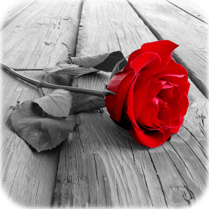 100+ Best Android Apps for Mobile Photography 21 Photo Art - Color Effects