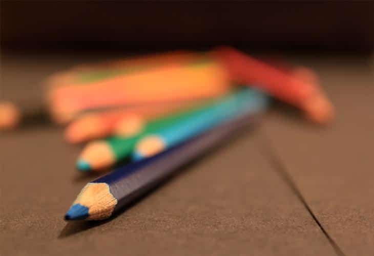 What to Look for in a Web Designer What to Look for in a Web Designer