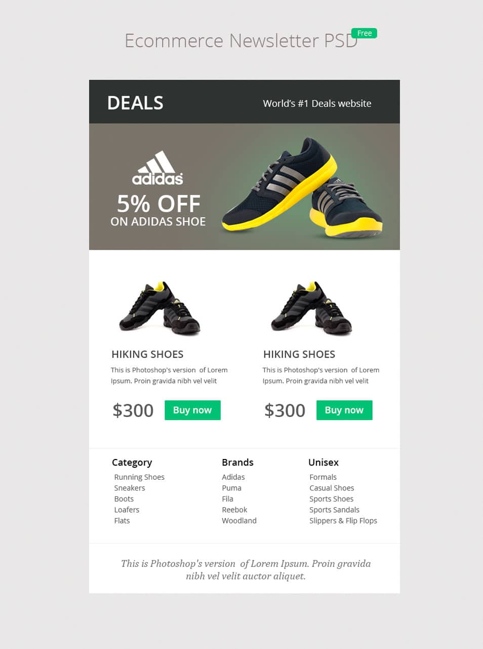 E commerce Newsletter PSD - cssauthor.com