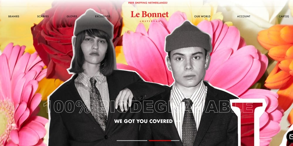 75 Beautiful Fashion Website Designs for Your Inspiration 92 Le Bonnet