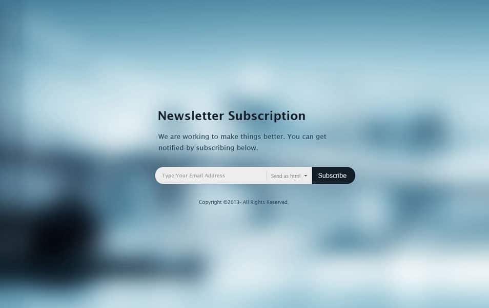 Newsletter Subscription Form