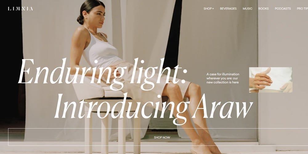 75 Beautiful Fashion Website Designs for Your Inspiration 81 the araw collection