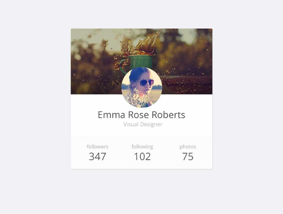 75+ Latest Free UI designs PSD 63 User Widget