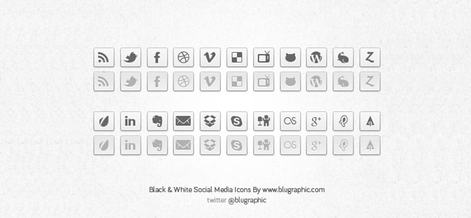 Black & White Social Network Buttons (Psd)