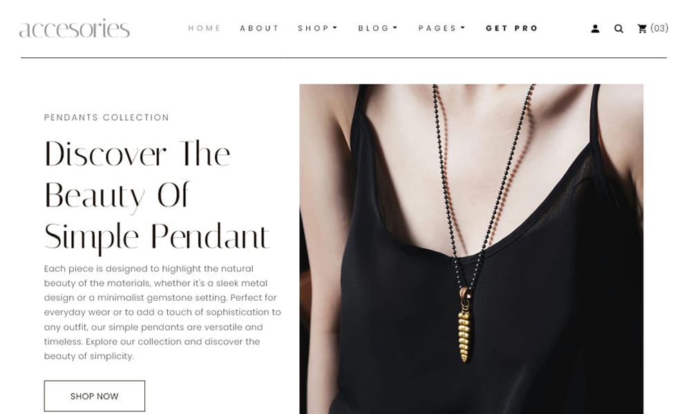 500+ Best Free Responsive HTML5 CSS3 Website Templates 170 Accesories