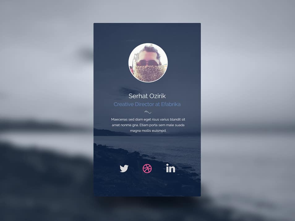 Profile Widget PSD Profile Widget PSD