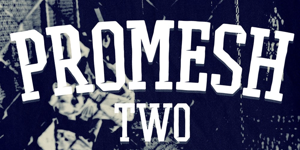 Latest Free Web Elements from March 2014 11 Promesh Two Font