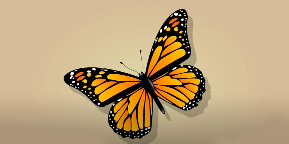 Latest Adobe Illustrator Tutorials 495 Butterfly
