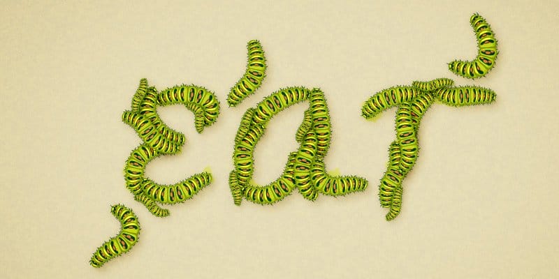 Latest Adobe Illustrator Tutorials 424 Caterpillar Text Effect