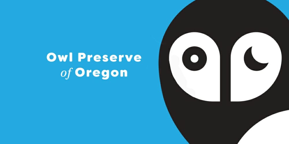 Latest Adobe Illustrator Tutorials 116 Change color and strokes