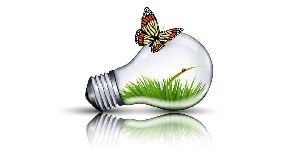Latest Adobe Illustrator Tutorials 246 Eco Bulb and Butterfly Illustration