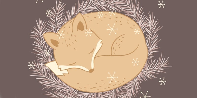 Fox Illustration