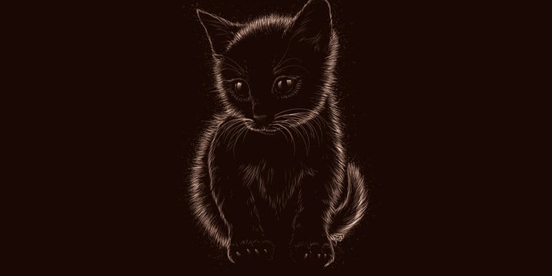 Latest Adobe Illustrator Tutorials 412 Furry Kitten