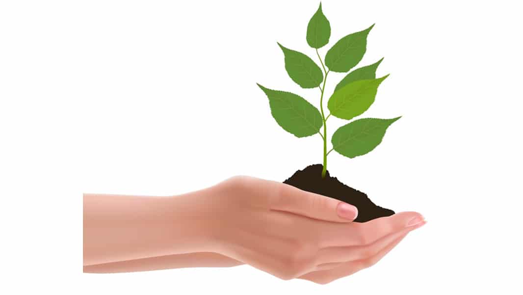 Latest Adobe Illustrator Tutorials 290 Hands Holding a Plant