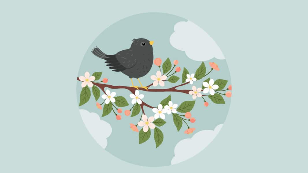 Latest Adobe Illustrator Tutorials 311 Illustration of a Starling on a Branch
