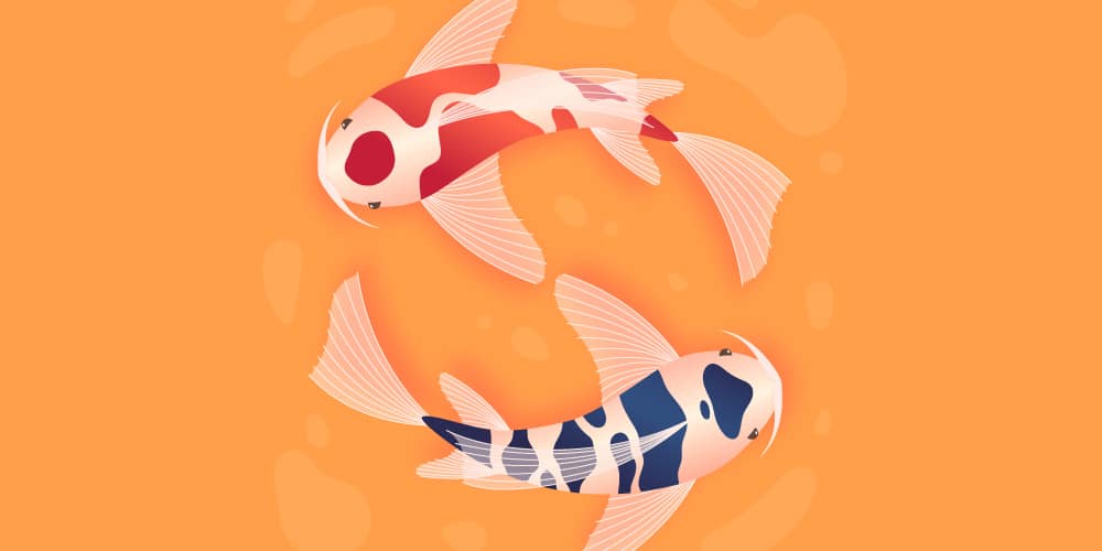 Latest Adobe Illustrator Tutorials 81 Koi Fish