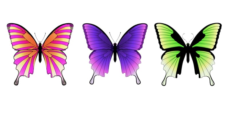Latest Adobe Illustrator Tutorials 449 Mirrored Butterfly