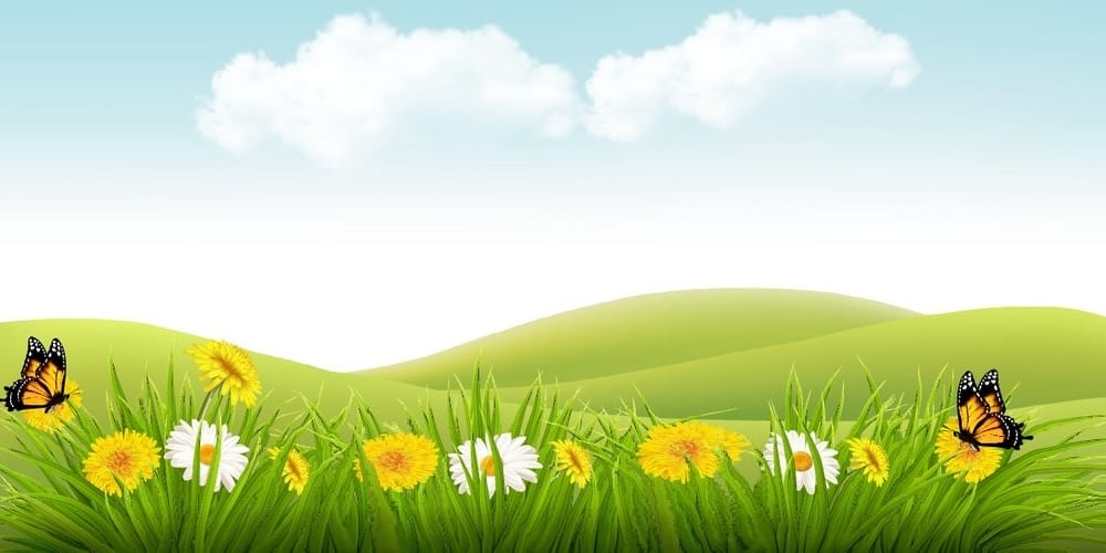 Latest Adobe Illustrator Tutorials 278 Nature-Background-in-Adobe-Illustrator