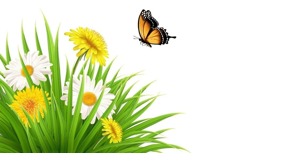Latest Adobe Illustrator Tutorials 281 Nature-Scene-With-Dandelions-and-a-Butterfly