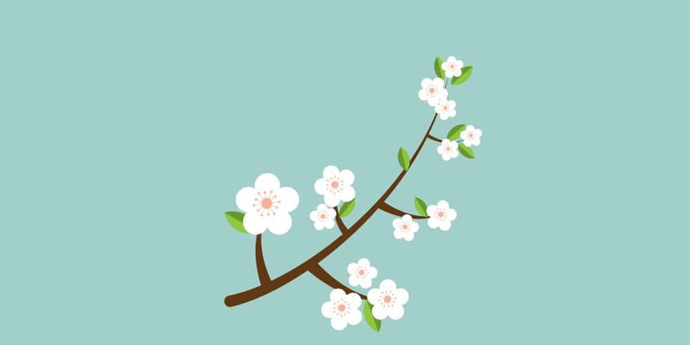 Latest Adobe Illustrator Tutorials 322 Simple Flower with the Effects Panel