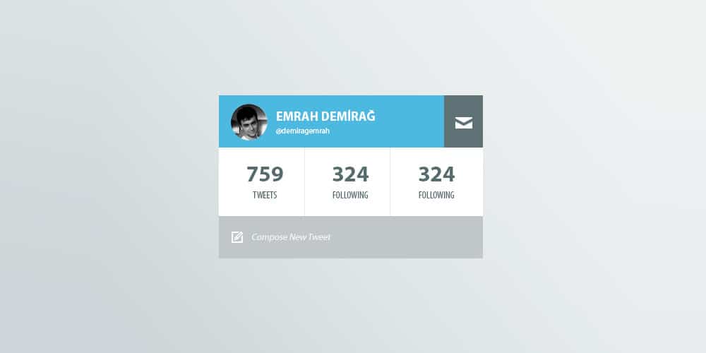 Twitter Profile Widget