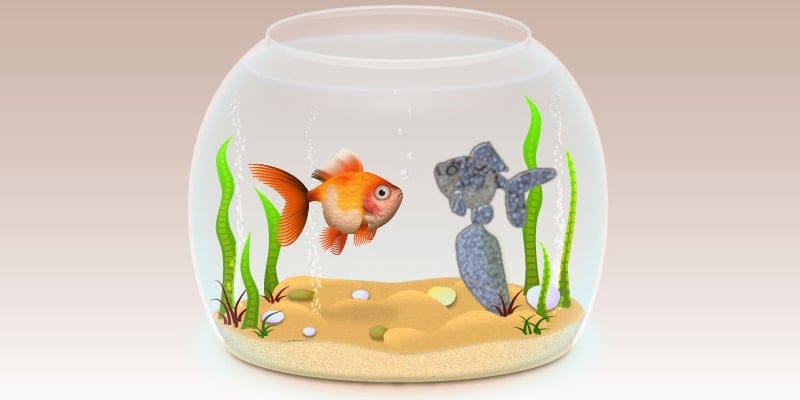 Latest Adobe Illustrator Tutorials 454 realistic Fishbowl